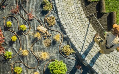 8 Ways to Use Synthetic Turf to Beautify Your Yard