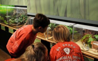 Unique Museums in Houston