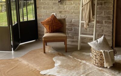 11 Design Touches in Texas That Feel Rustic and Modern