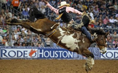 The Houston Livestock Show and Rodeo
