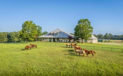 City Living vs Country Living and How to Choose What’s Right for You!