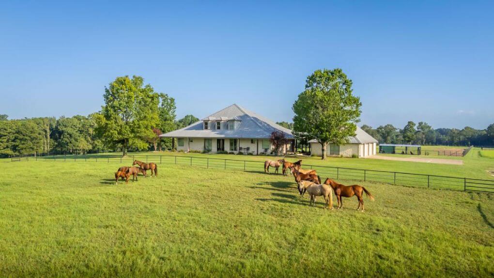 City Living vs Country Living and How to Choose What's Right for You!